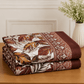 Crystal Cotton Lifetime Bedsheet Brown and Rust - Zarle